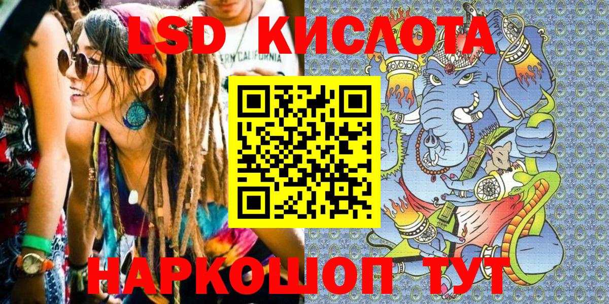 APVP Донской