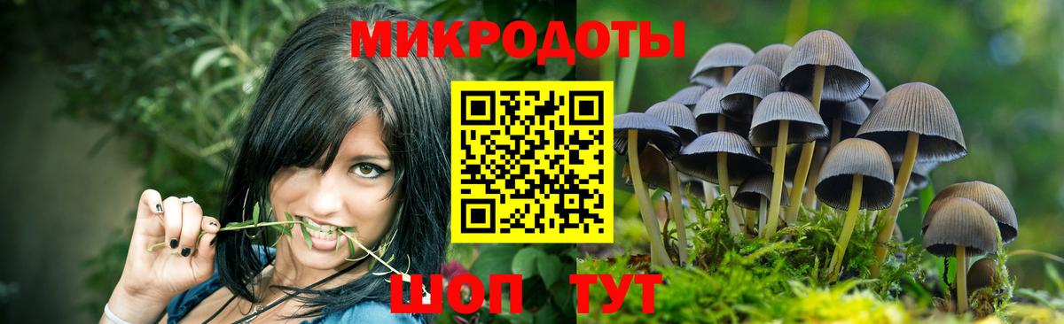 Псилоцибиновые грибы мухоморы  Вход с VPN  где можно купить   Галлюциногенные грибы прущие грибы  Донской 